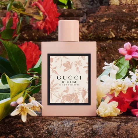 gucci bloom parfüm fiyatı|gucci bloom perfume smell.